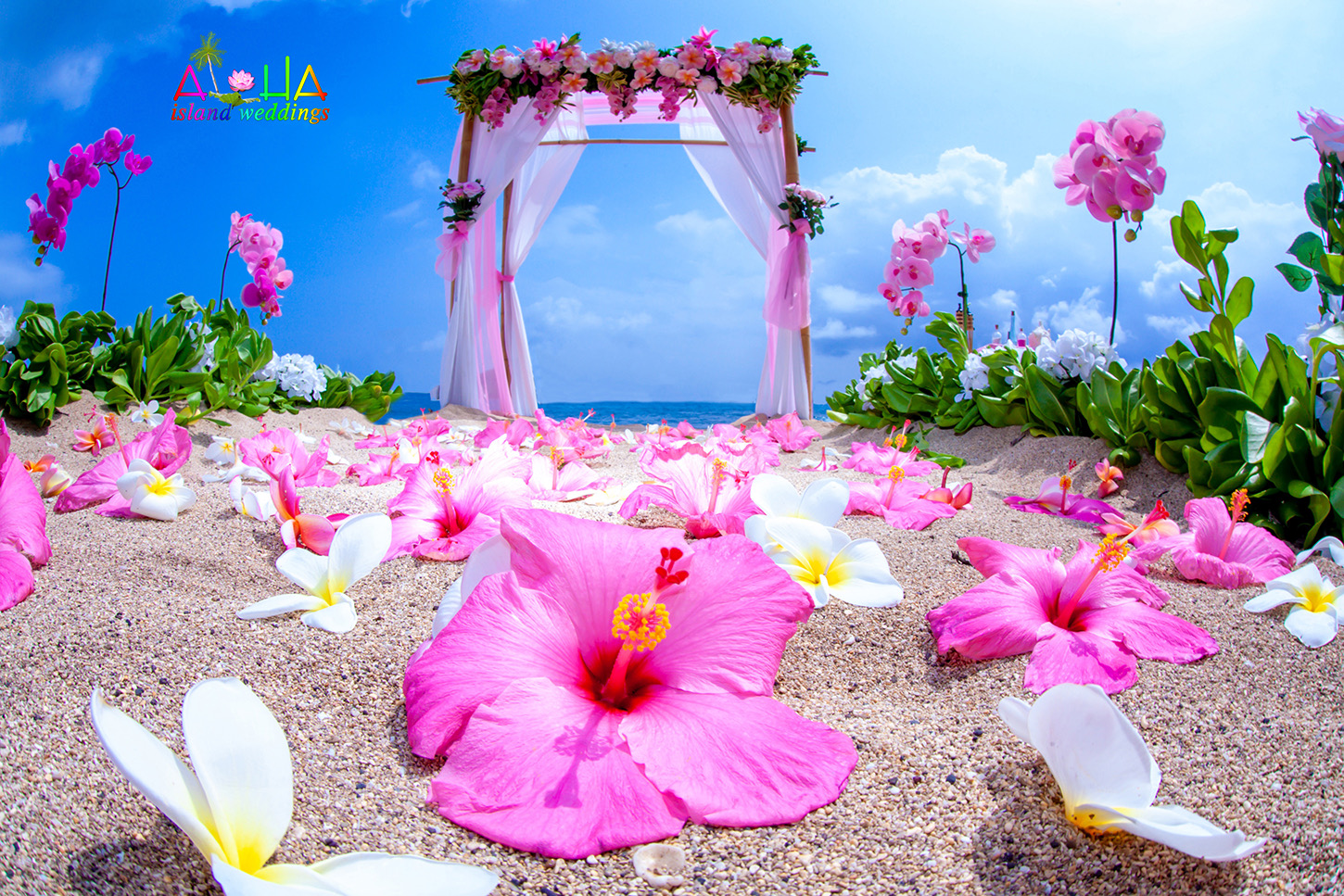 Love this wonderment beach wedding arch set on the sandy shoreswith hibiscus and plumerias of pinks